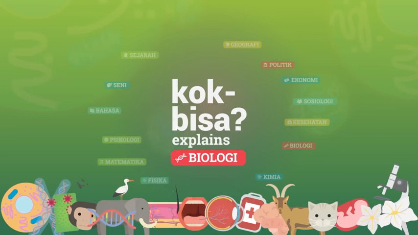 Ilustrasi pohon evolusi yang menunjukkan keragaman makhluk hidup