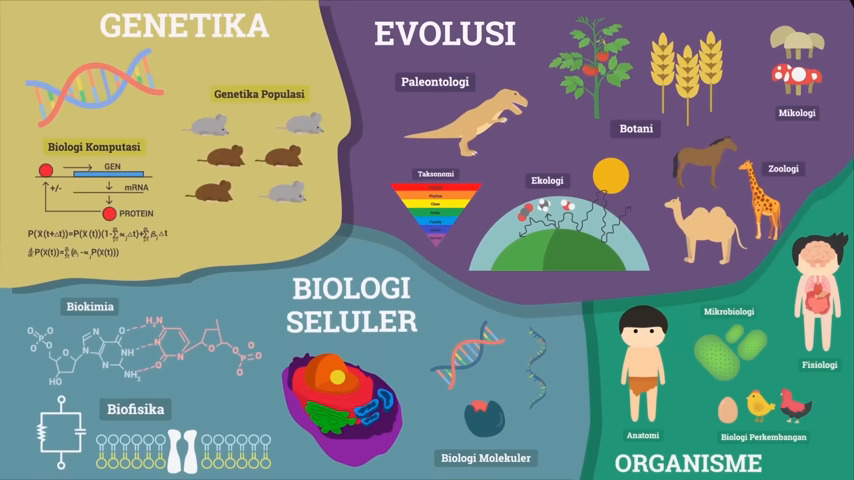 Diagram pohon yang menunjukkan berbagai cabang ilmu biologi seperti botani, zoologi, genetika