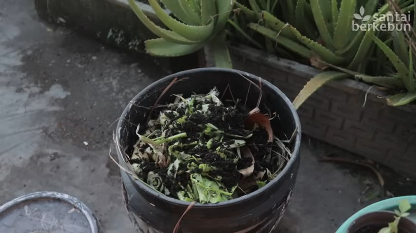 Tumpukan kompos yang subur dan berwarna gelap di atas tanah